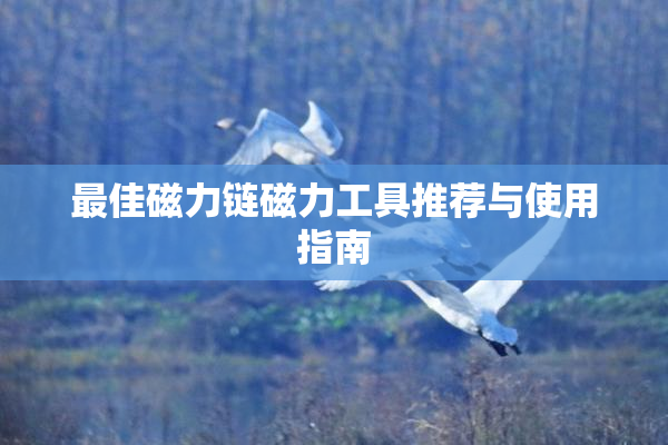 最佳磁力链磁力工具推荐与使用指南