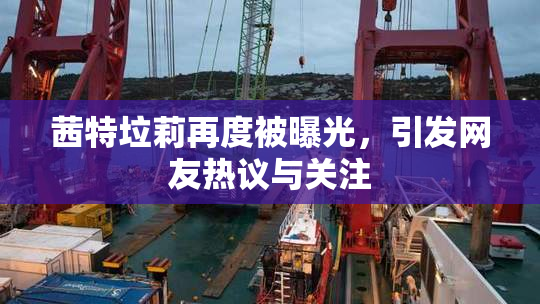 茜特垃莉再度被曝光，引发网友热议与关注
