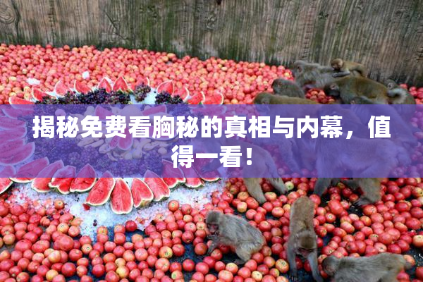 揭秘免费看胸秘的真相与内幕，值得一看！