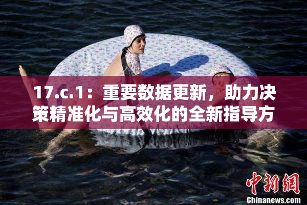 17.c.1：重要数据更新，助力决策精准化与高效化的全新指导方案出台