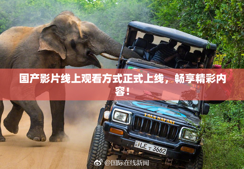 国产影片线上观看方式正式上线，畅享精彩内容！