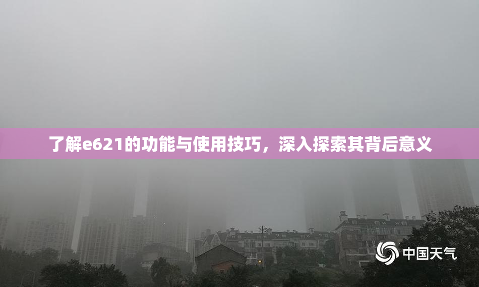 了解e621的功能与使用技巧，深入探索其背后意义
