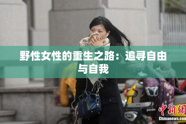 野性女性的重生之路：追寻自由与自我