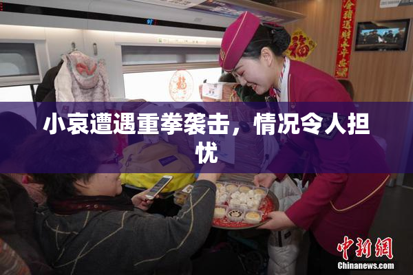 小哀遭遇重拳袭击，情况令人担忧