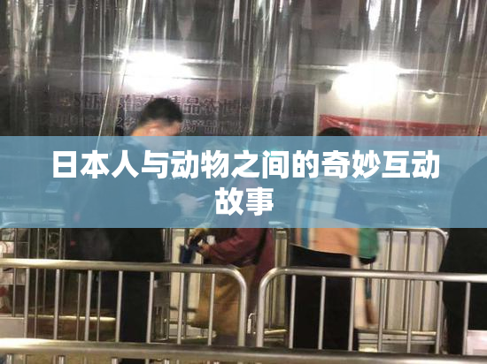 日本人与动物之间的奇妙互动故事