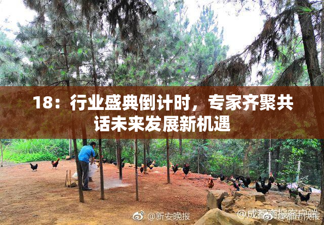 18：行业盛典倒计时，专家齐聚共话未来发展新机遇
