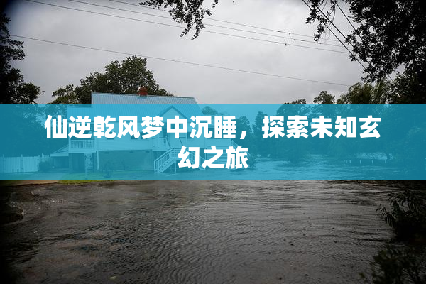 仙逆乾风梦中沉睡，探索未知玄幻之旅