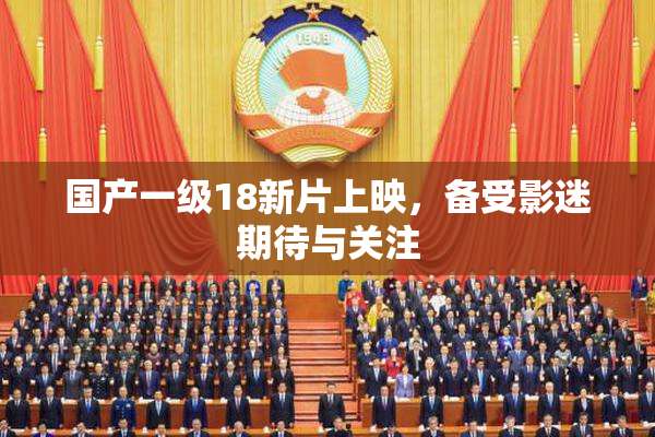 国产一级18新片上映，备受影迷期待与关注