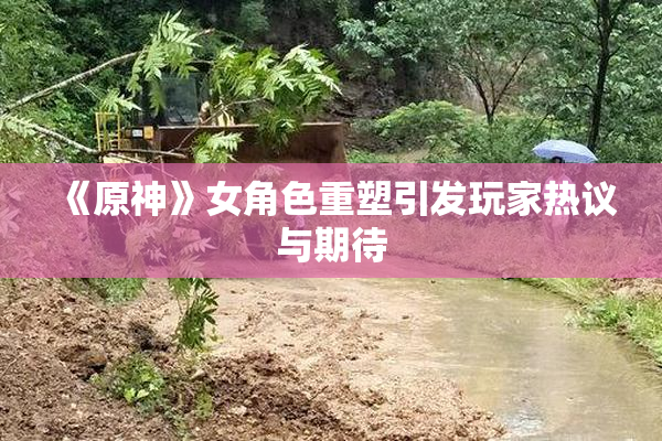 《原神》女角色重塑引发玩家热议与期待