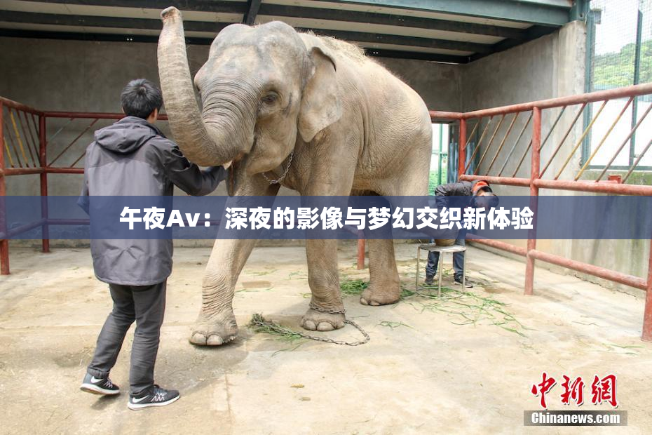 午夜Av：深夜的影像与梦幻交织新体验