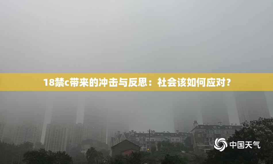 18禁c带来的冲击与反思：社会该如何应对？