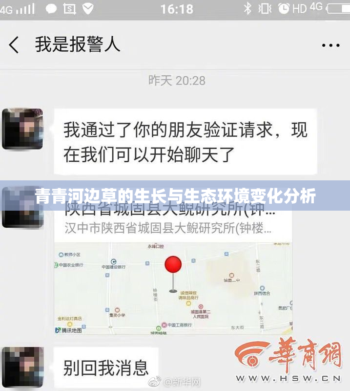 青青河边草的生长与生态环境变化分析