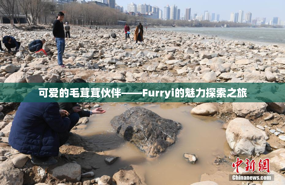 可爱的毛茸茸伙伴——Furryi的魅力探索之旅