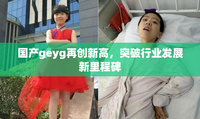 国产geyg再创新高，突破行业发展新里程碑