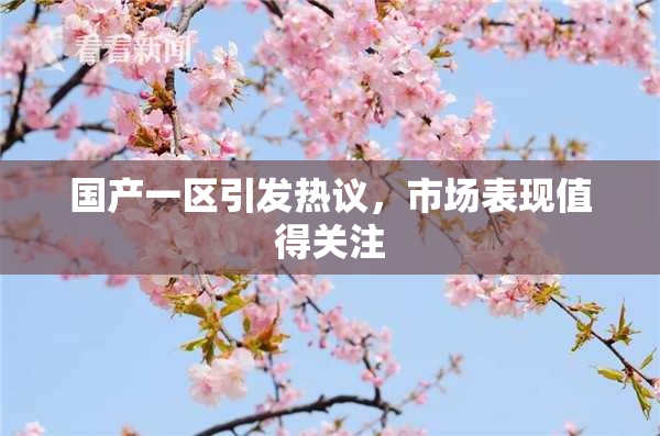 国产一区引发热议，市场表现值得关注