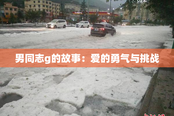 男同志g的故事：爱的勇气与挑战