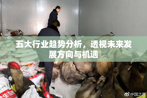 五大行业趋势分析，透视未来发展方向与机遇