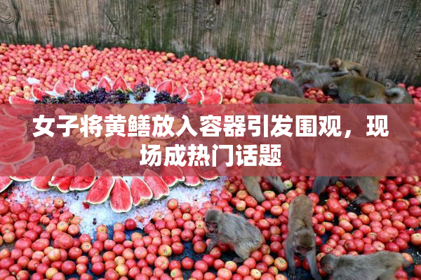 女子将黄鳝放入容器引发围观，现场成热门话题