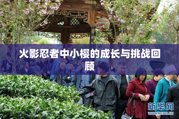 火影忍者中小樱的成长与挑战回顾