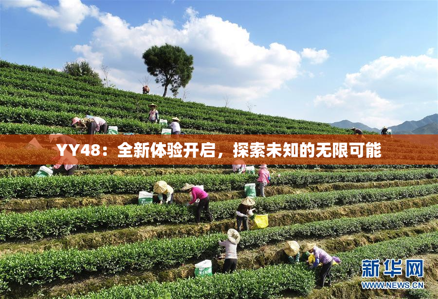 YY48：全新体验开启，探索未知的无限可能