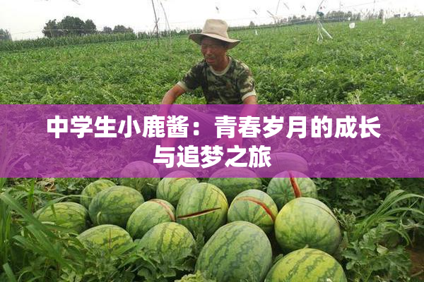 中学生小鹿酱：青春岁月的成长与追梦之旅