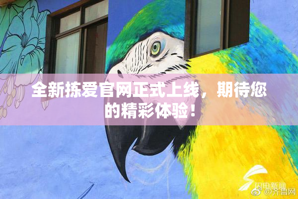 全新拣爱官网正式上线，期待您的精彩体验！