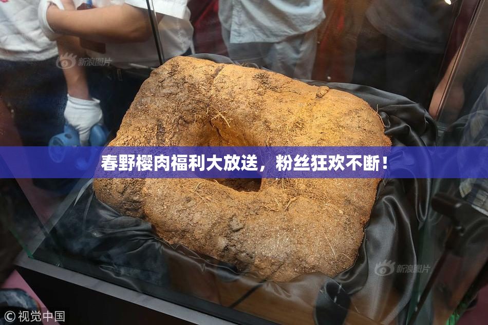 春野樱肉福利大放送，粉丝狂欢不断！