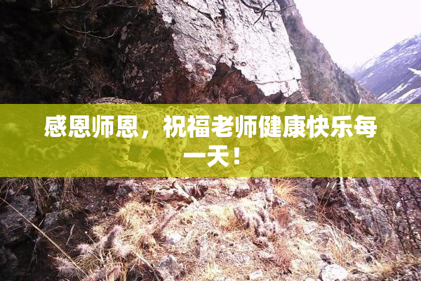 感恩师恩，祝福老师健康快乐每一天！
