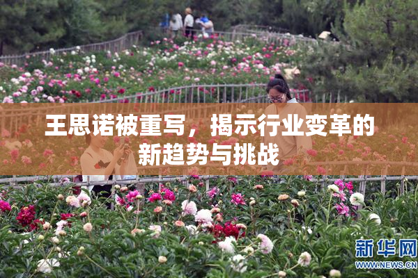 王思诺被重写，揭示行业变革的新趋势与挑战