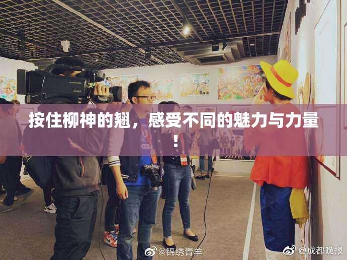 按住柳神的翘，感受不同的魅力与力量！