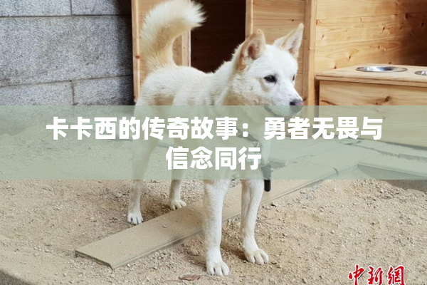 卡卡西的传奇故事：勇者无畏与信念同行