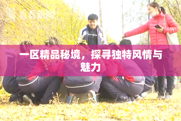 一区精品秘境，探寻独特风情与魅力