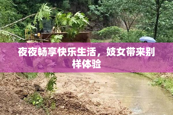 夜夜畅享快乐生活，妓女带来别样体验