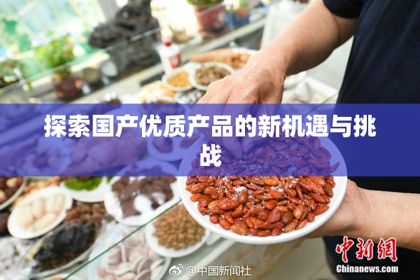 探索国产优质产品的新机遇与挑战
