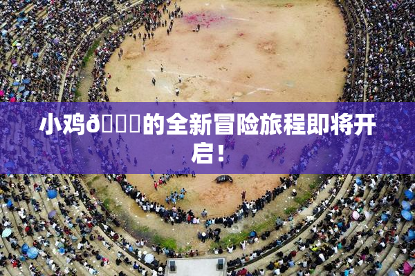 小鸡🐔的全新冒险旅程即将开启！