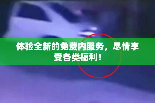 体验全新的免费内服务，尽情享受各类福利！