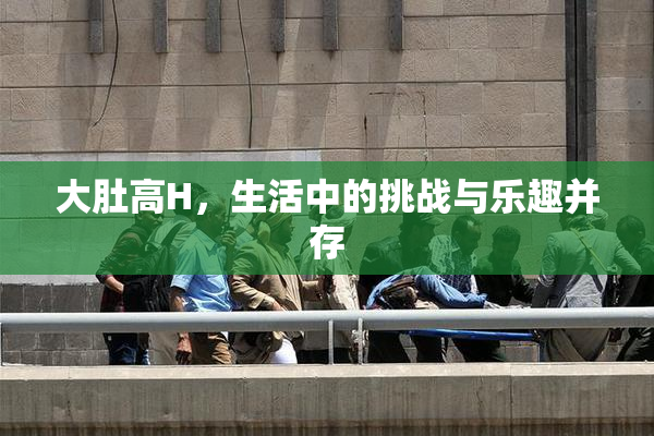 大肚高H，生活中的挑战与乐趣并存