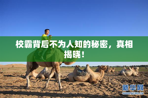 校霸背后不为人知的秘密，真相揭晓！