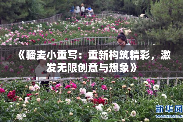 《骚麦小重写：重新构筑精彩，激发无限创意与想象》