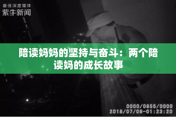 陪读妈妈的坚持与奋斗：两个陪读妈的成长故事