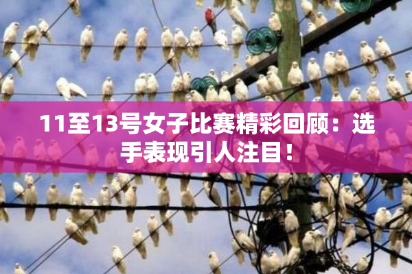 11至13号女子比赛精彩回顾：选手表现引人注目！