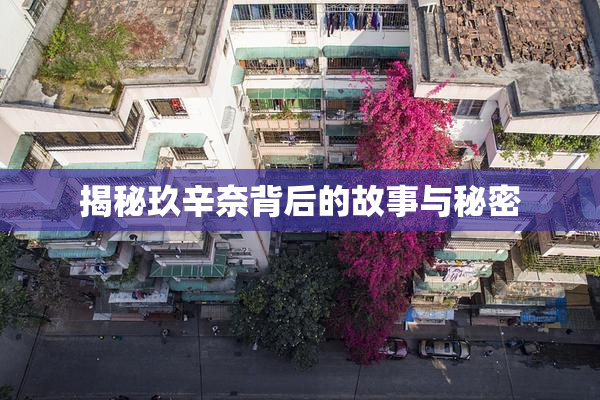 揭秘玖辛奈背后的故事与秘密