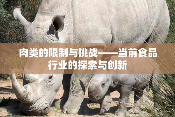 肉类的限制与挑战——当前食品行业的探索与创新