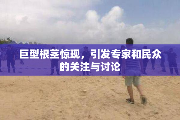 巨型根茎惊现，引发专家和民众的关注与讨论