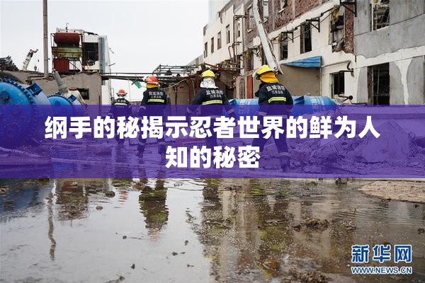 纲手的秘揭示忍者世界的鲜为人知的秘密
