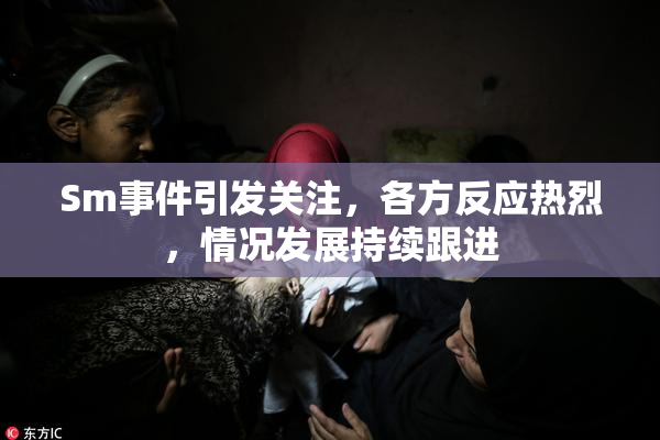 Sm事件引发关注，各方反应热烈，情况发展持续跟进