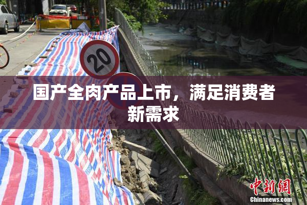 国产全肉产品上市，满足消费者新需求