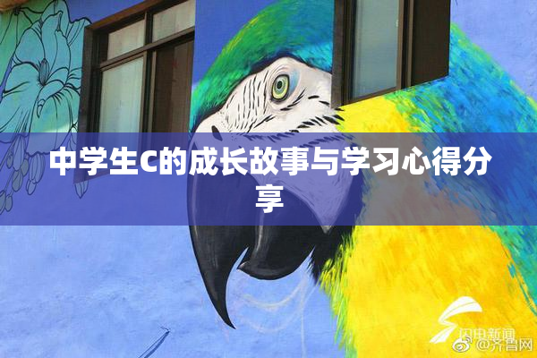 中学生C的成长故事与学习心得分享