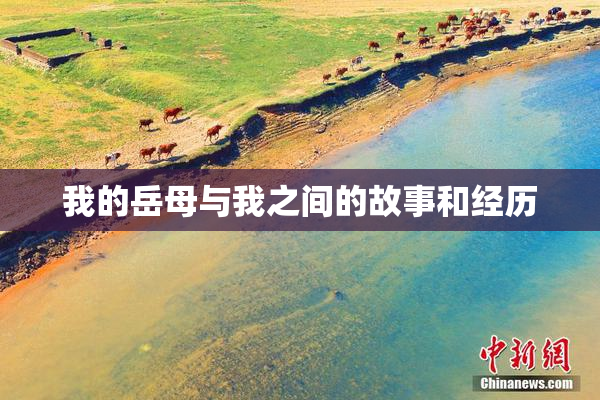 我的岳母与我之间的故事和经历