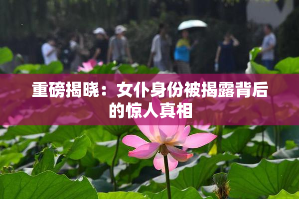 重磅揭晓：女仆身份被揭露背后的惊人真相